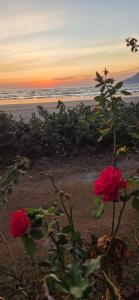 Casa na praia em São Sebastião