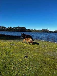 Casa con playa privada en Llanquihue