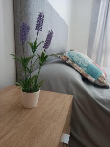 Alquiler Temporario Casa Cervantes