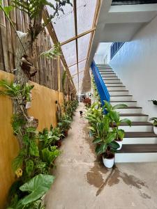 Baybay Hostel