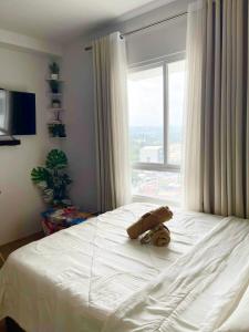 Solea Tropical Suite