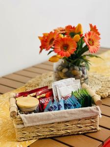 Solea Tropical Suite