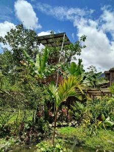 Laritas MINDO Hospedaje y Casita de campo Los Guayabales
