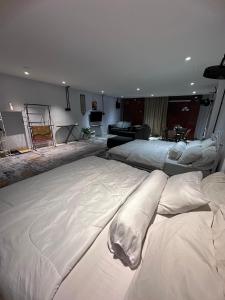 MAMAB SMART HOME STUDIO HOMESTAY - Tepi Highway Melor