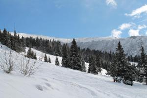 Feriendorf Koralpe Chalet Arnika XL 28