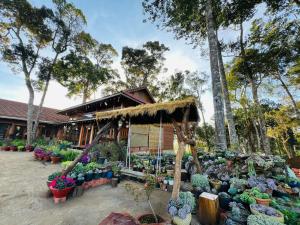 Mộc Thiên Xanh homestay