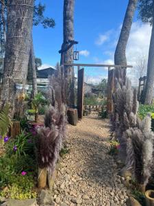 Mộc Thiên Xanh homestay