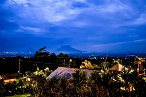 Munduk Luwih Ecolodge Bedugul by AGATA