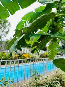 Barracuda Swim Clubs Homestay - Aircon Room with Pool