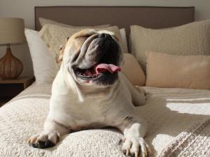 Kaylies Place, Elegant Holiday Home with Garden