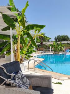 Sea view Goldins house