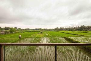 Luxurious 2BR Villa with Private Pool & Rice Field Views in Ubud
