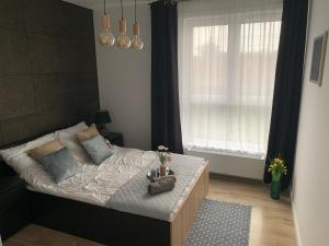 Blu Apartament 6 Cetniewo Osada
