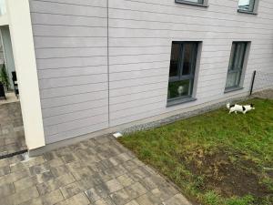 Blu Apartament 6 Cetniewo Osada