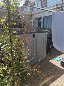 Het Vossenhol strategisch tussen strand en duin