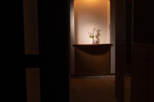 Skytree Tokyo apartment Ohanachaya