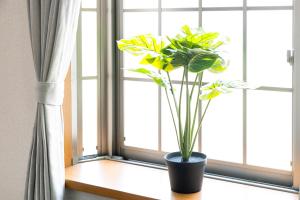 IL Regalo Tenjin2 Street Stay