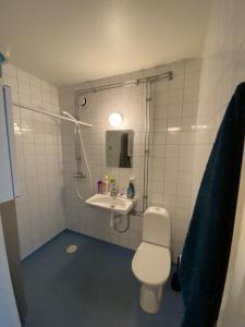 Studio Apartment in Gothenburg
