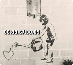 Agréable chalet en bois et son extérieur