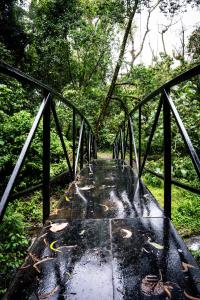 Mikes Adventures Guest House