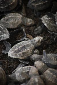 Mikes Adventures Guest House