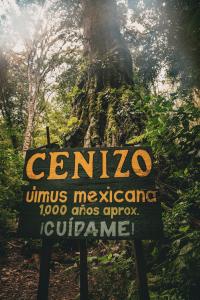 Mikes Adventures Guest House