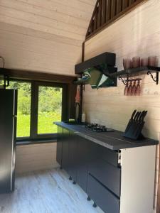 Барнхаус Карпатський подих