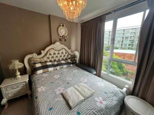 치앙마이 D Condo Sign 수영장 뷰 콘도 편안함과 편리함의 완벽한 조화