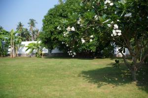 Hermit villa 3BR 4KingBeds 4BA 8Hr Butler