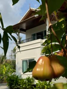 Hermit villa 3BR 4KingBeds 4BA 8Hr Butler