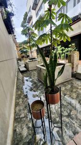 Cosy apartment with terrace in Downtown, Bogotá