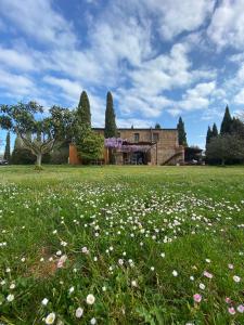 Espectacular casa de vacaciones en el campo con piscina, BBQ y WIFI de alta velocidad