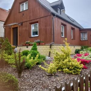 Apartament pod lipami