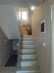 Vila Miana apartmani