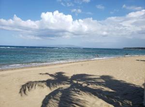 Private Studio Downtown Nagua Free WiFi