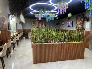 Spacious luxury three bedroom apartment with restaurant ,fully equipped gym, children playing ground, ample parking space and amazing breathtaking scenic city views