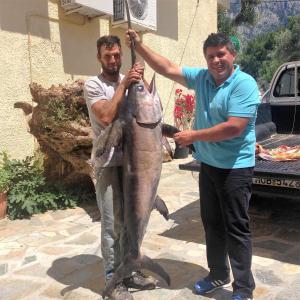 Limnionas Bay Village Hotel Samos Greece