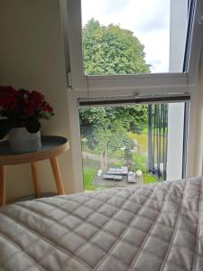 NT Zitkus apartamentai