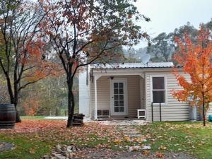 Old Oak Tree Cottage