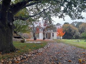 Old Oak Tree Cottage