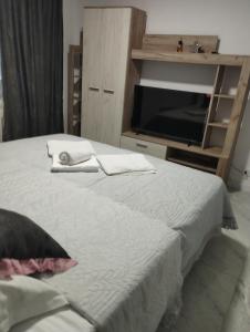 Apartament G3