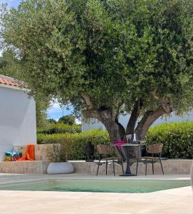 Meraki Mou My pride and care