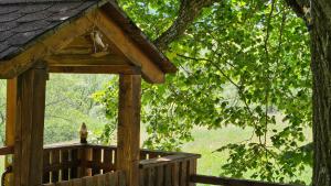 Drevenica Borovianka