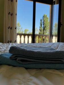 Entre Árboles y Río