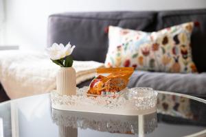 Robs Place - Ruhige 2-Zi-City-Oase mit Panorama über den Weberplatz