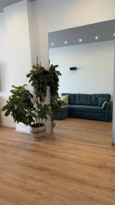 Морская Симфония