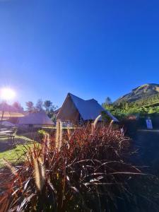 Dieng Latar Alam Tambi Syariah