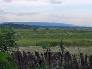 Ishq Sanctum- A Conscious Guest House