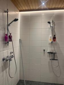 Villa Lehtoniemi with pick-up service by Rovaniemi Insider