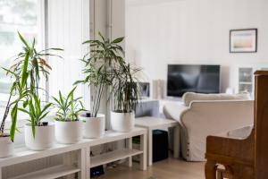 5 bedroom family home with sauna close to city center